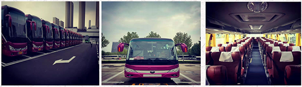 車隊圖片.png